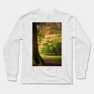 Autumn Acer Tree Westonbirt Arboretum Cotswolds Gloucestershire Long Sleeve T-Shirt